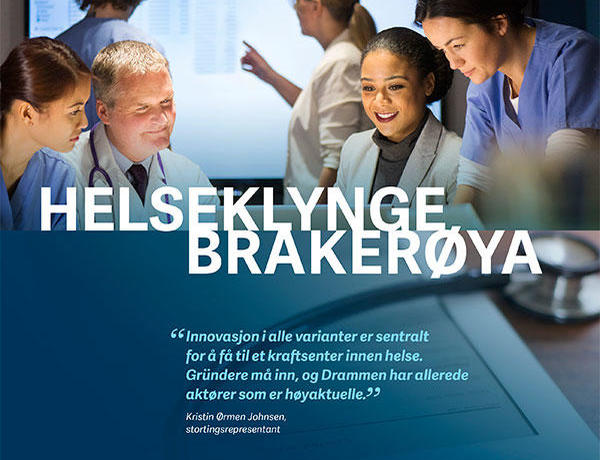 Helseklynge Brakerøya